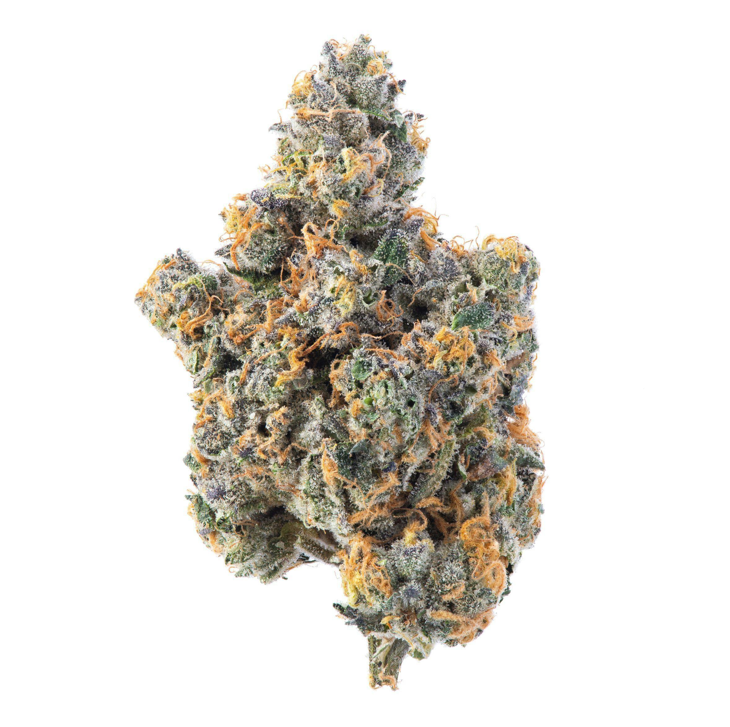 Gary Payton Flower