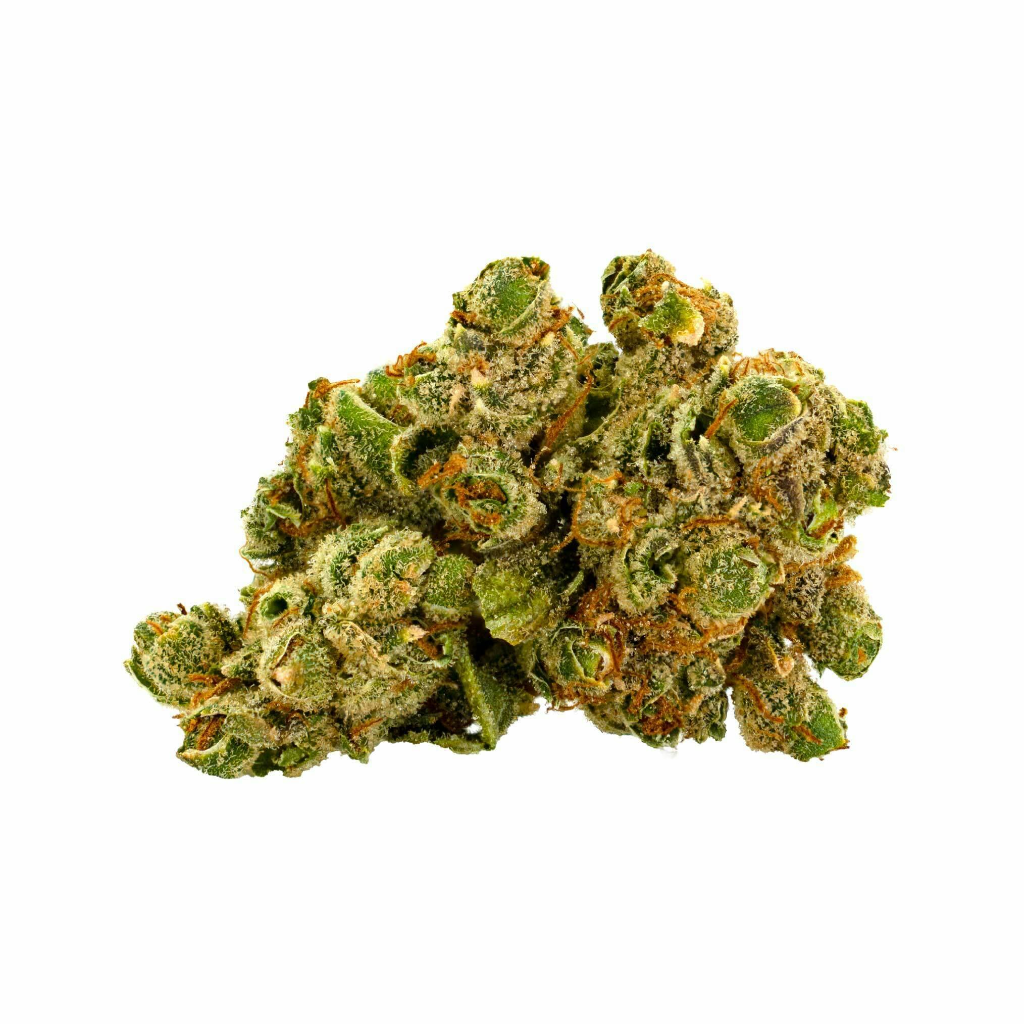 Governmint Oasis Flower - 1298150 at Trulieve Zanesville Dispensary