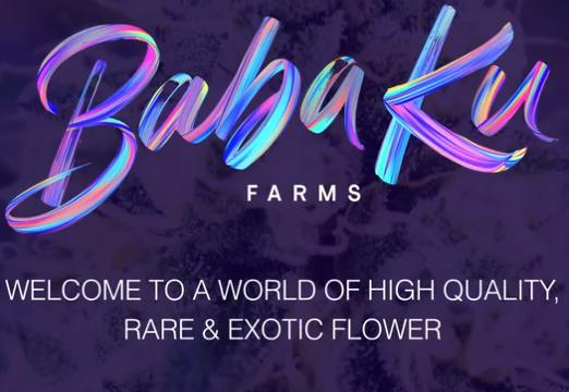 Baba Ku Farms | Yellow Diamonds | Joint | 1.5g