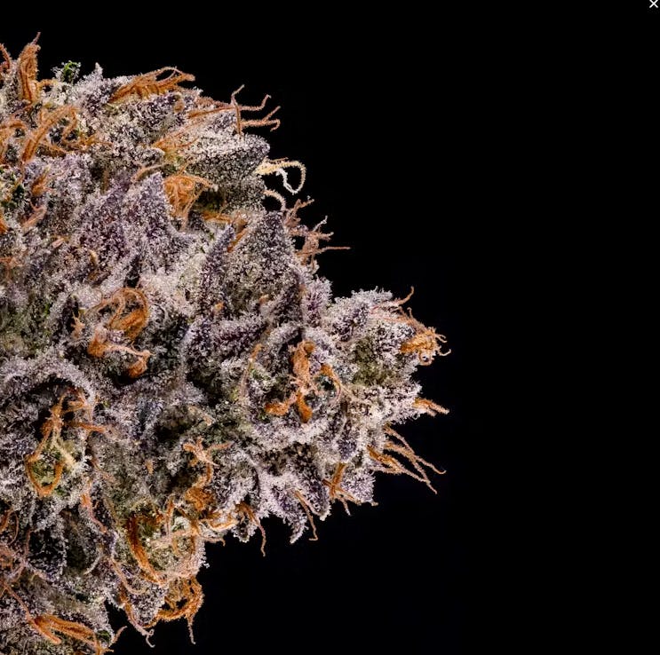 Fig Farms: Rapper Weed
