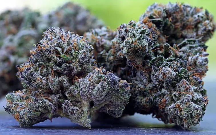 KUSH CO SOUR: Sour Power