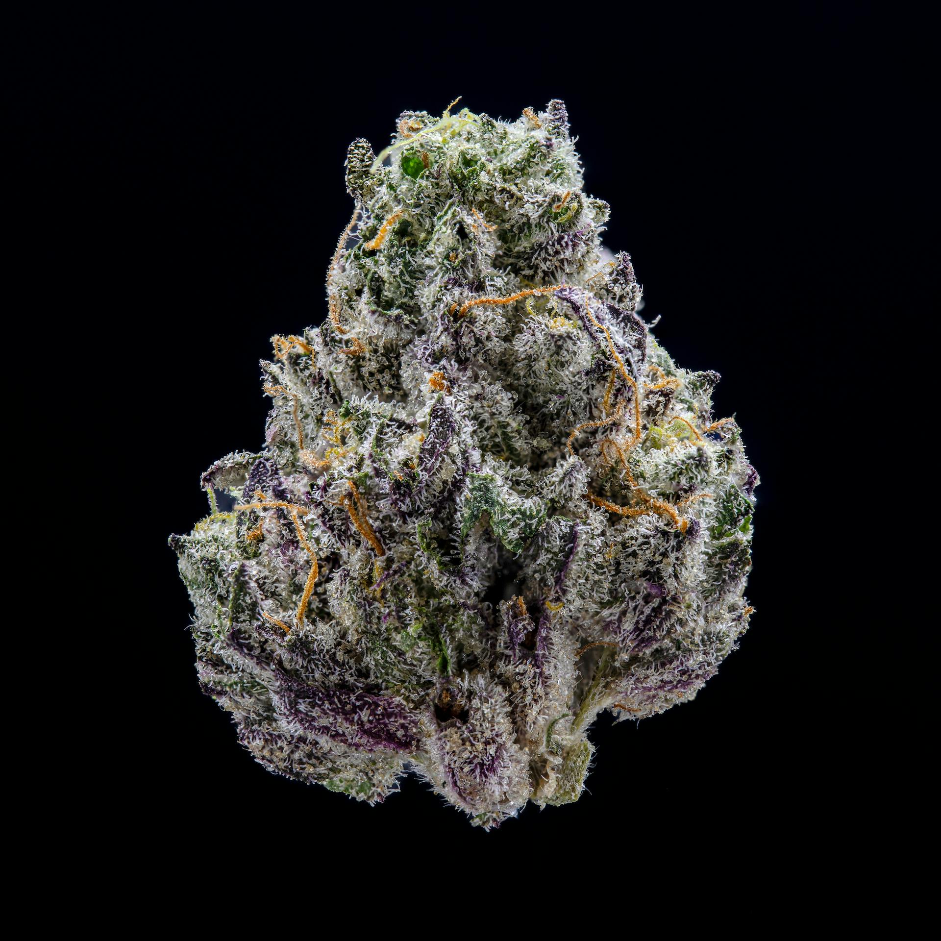 Lemon Iccee