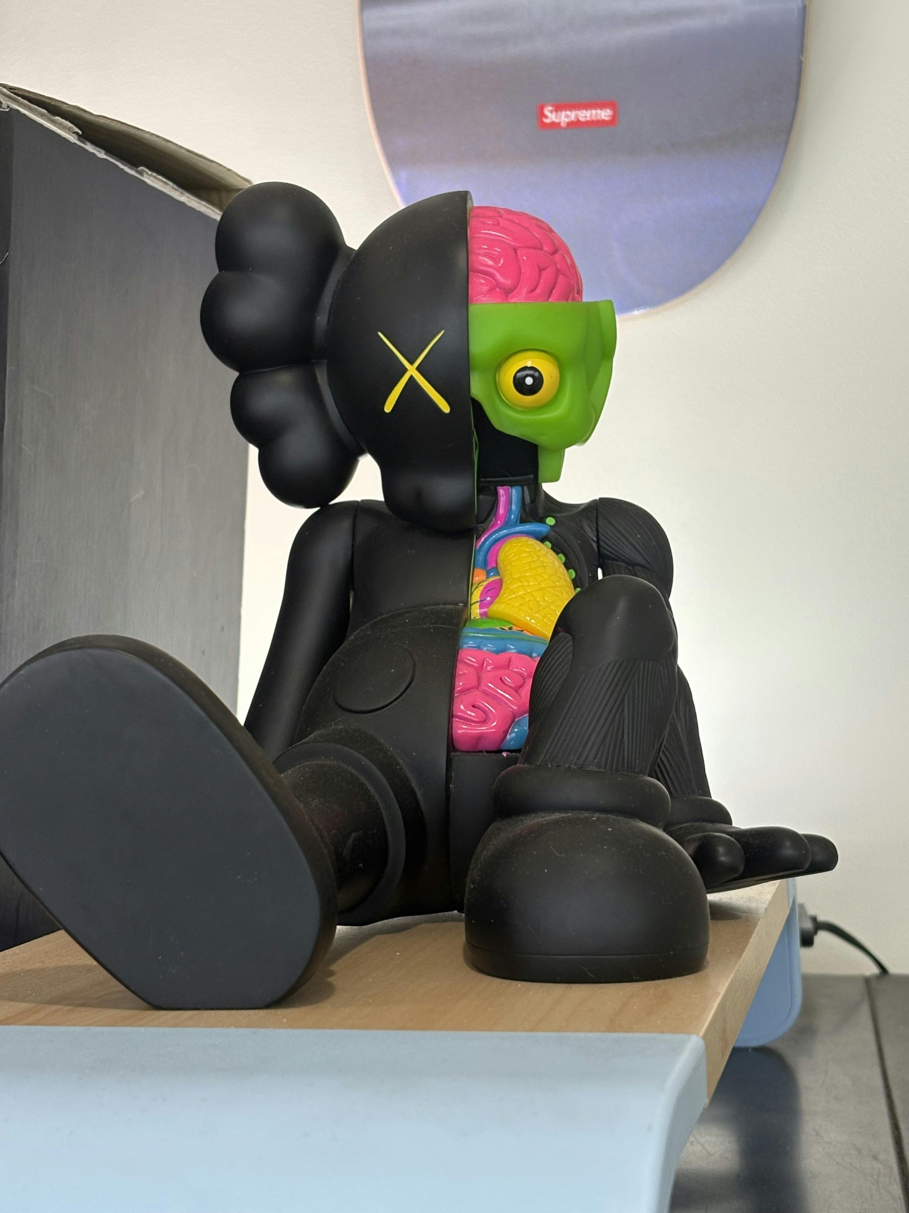 Kaws companion (dissected) large figure 15 inch | Accessories