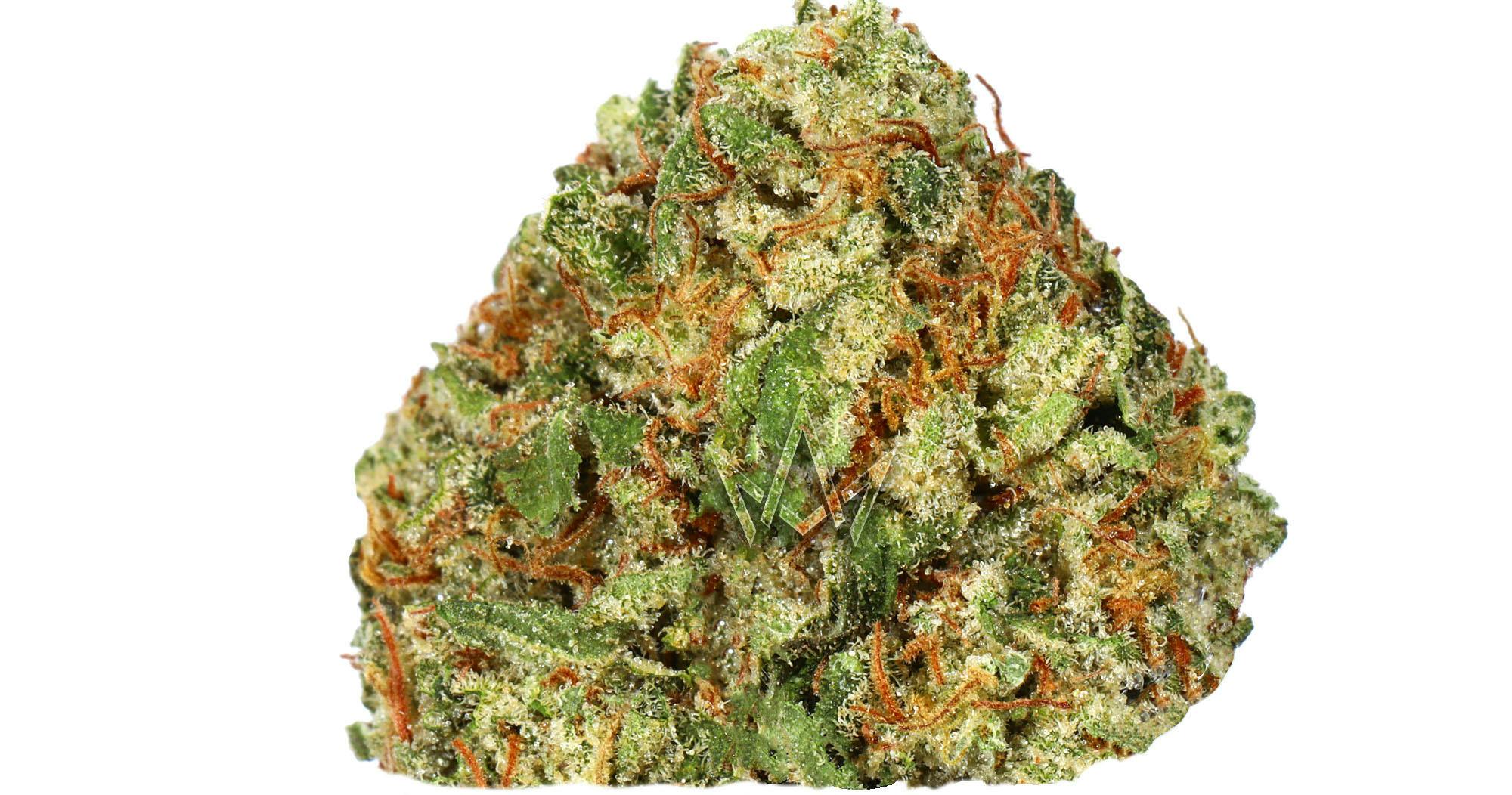 Soma Rosa - — Lemon Thai X OG Kush