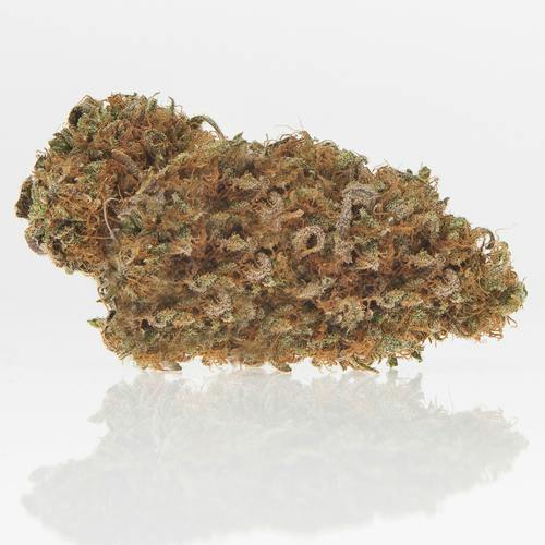 Critical Cure | Green Lid at Garden Mother Dispensary