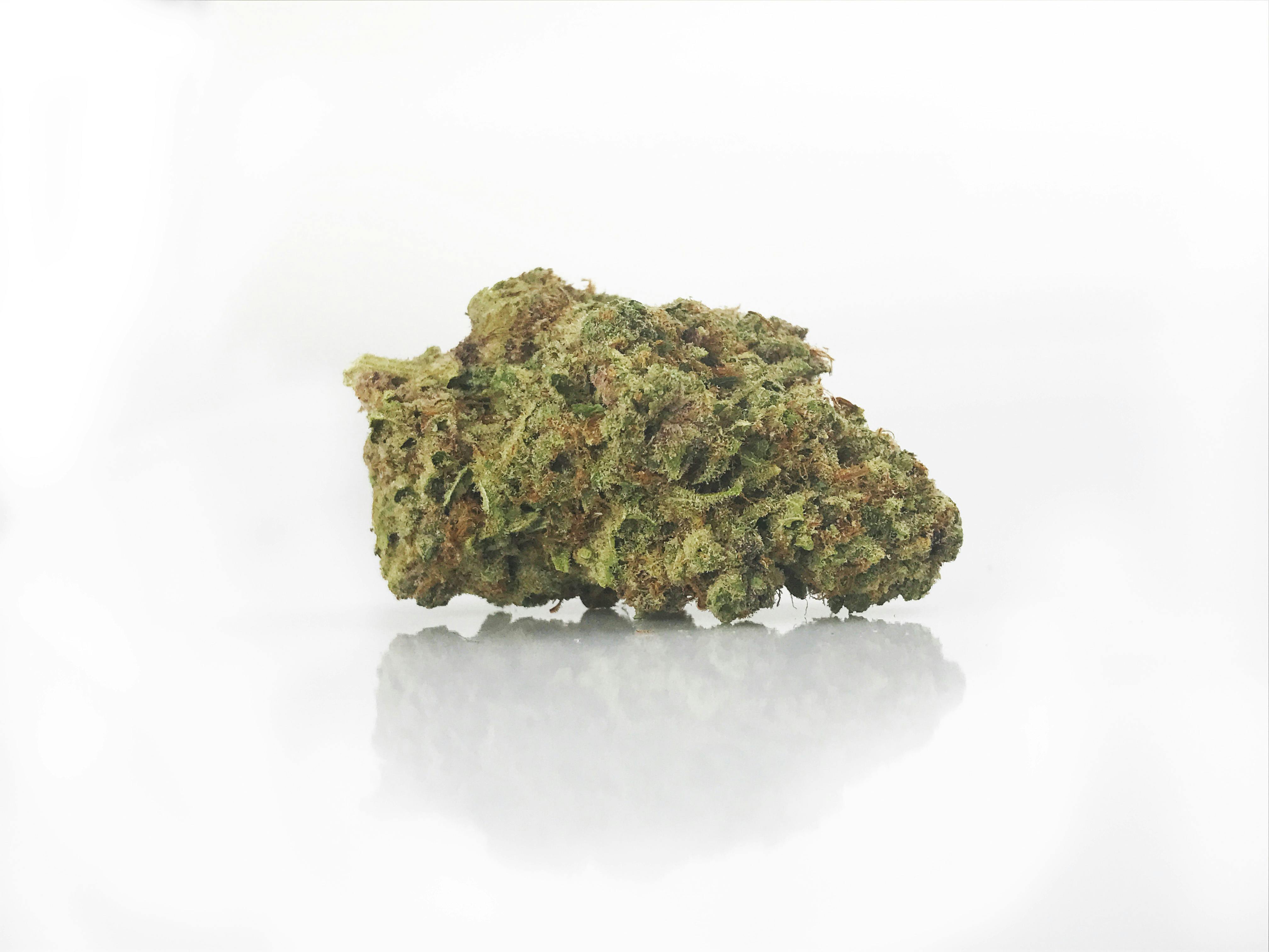 Delightful B | Green Lid