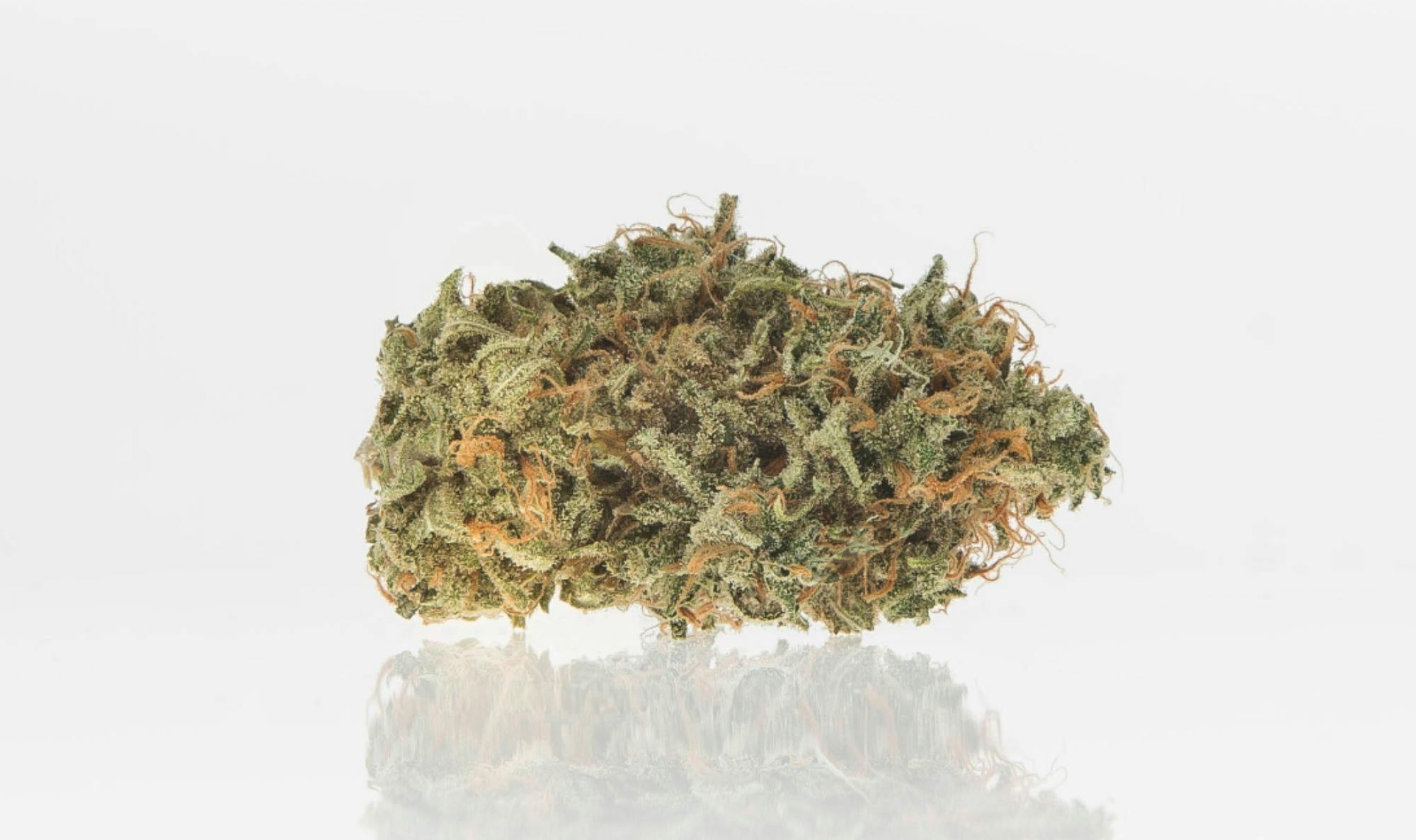 Chocolate Thai | Top Shelf