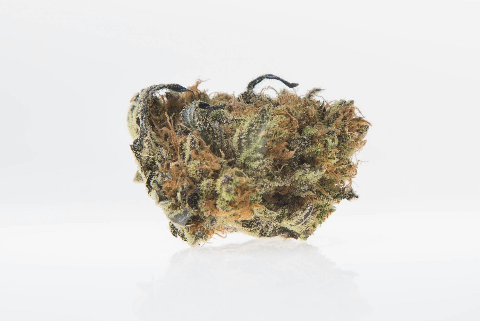 Sugar Black Rose | Top Shelf