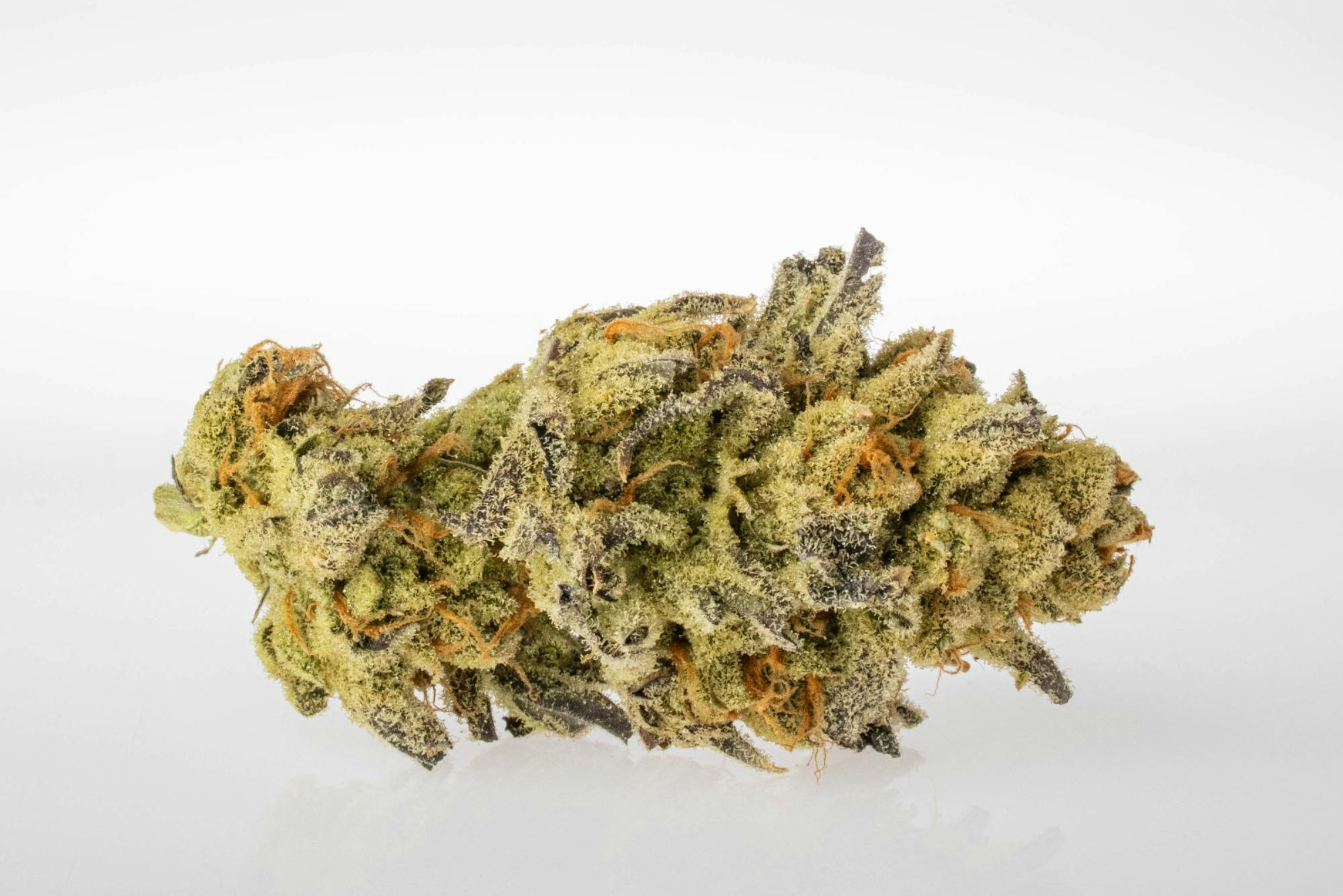 Orange Punch | Top Shelf