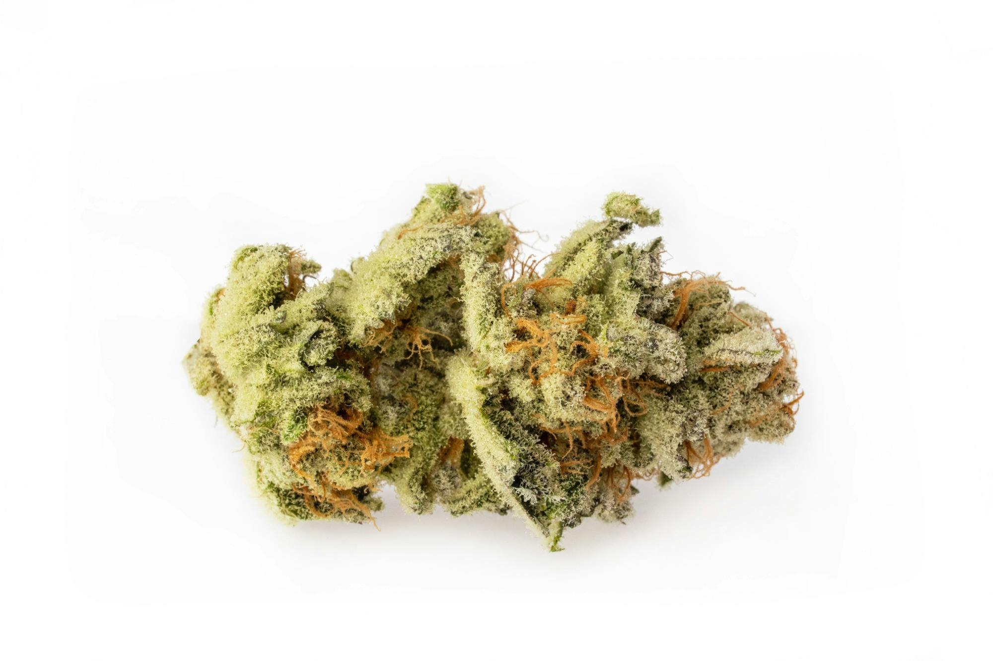 Jungle Pie | Green Lid at Garden Mother Dispensary