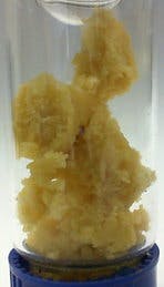 1g Citrus Blend | Crumble