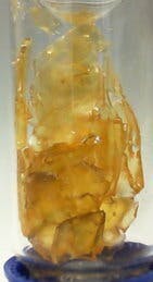 1g Banana Cake | Shatter