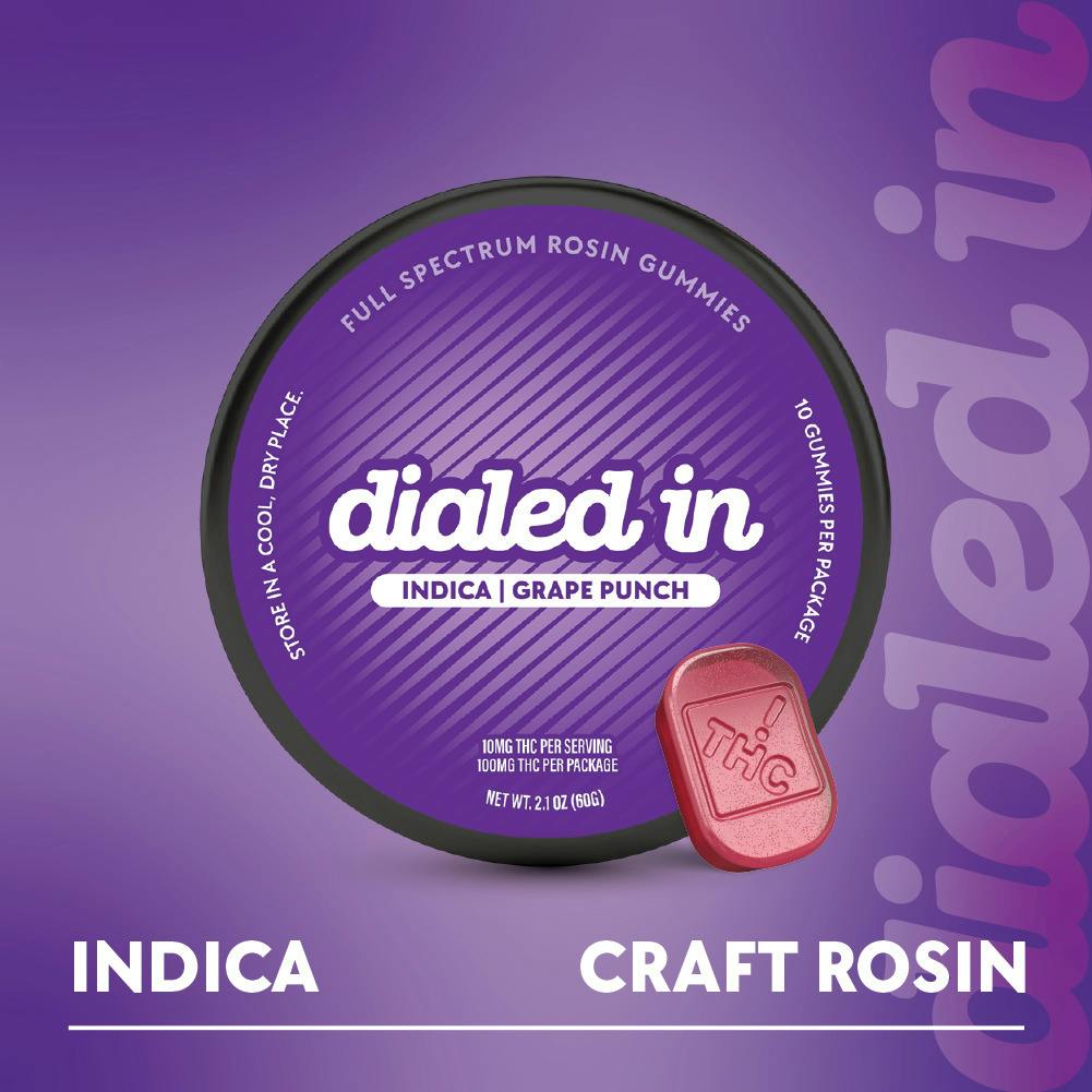 Dialed In - Rosin Gummies - Grape Punch (I) (100mg THC)
