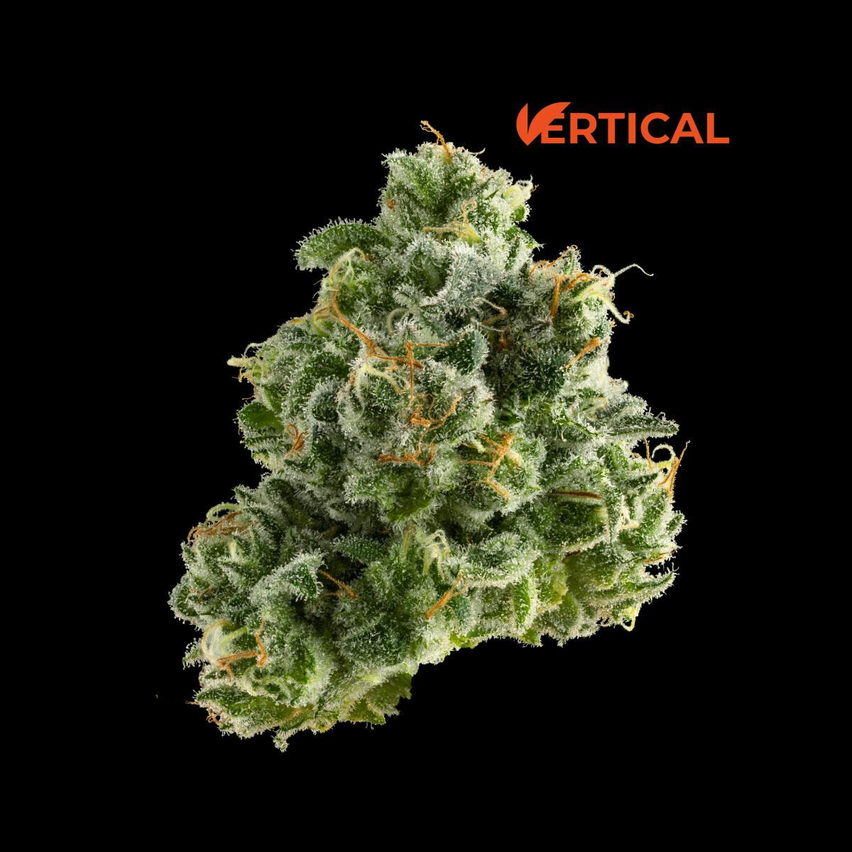 Vertical | Hypnotic 3.5g