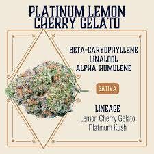 Elevate | Platinum Lemon Cherry Gelato 3.5g | Tier 2