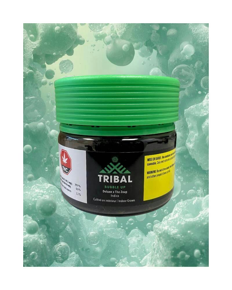 Bubble Up | 14g