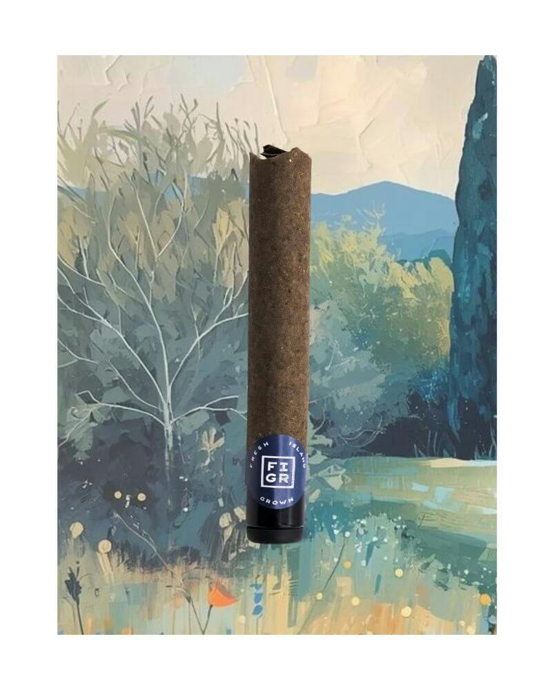 Mellow Man Premium Glass Tip Blunt | 1 x 1g