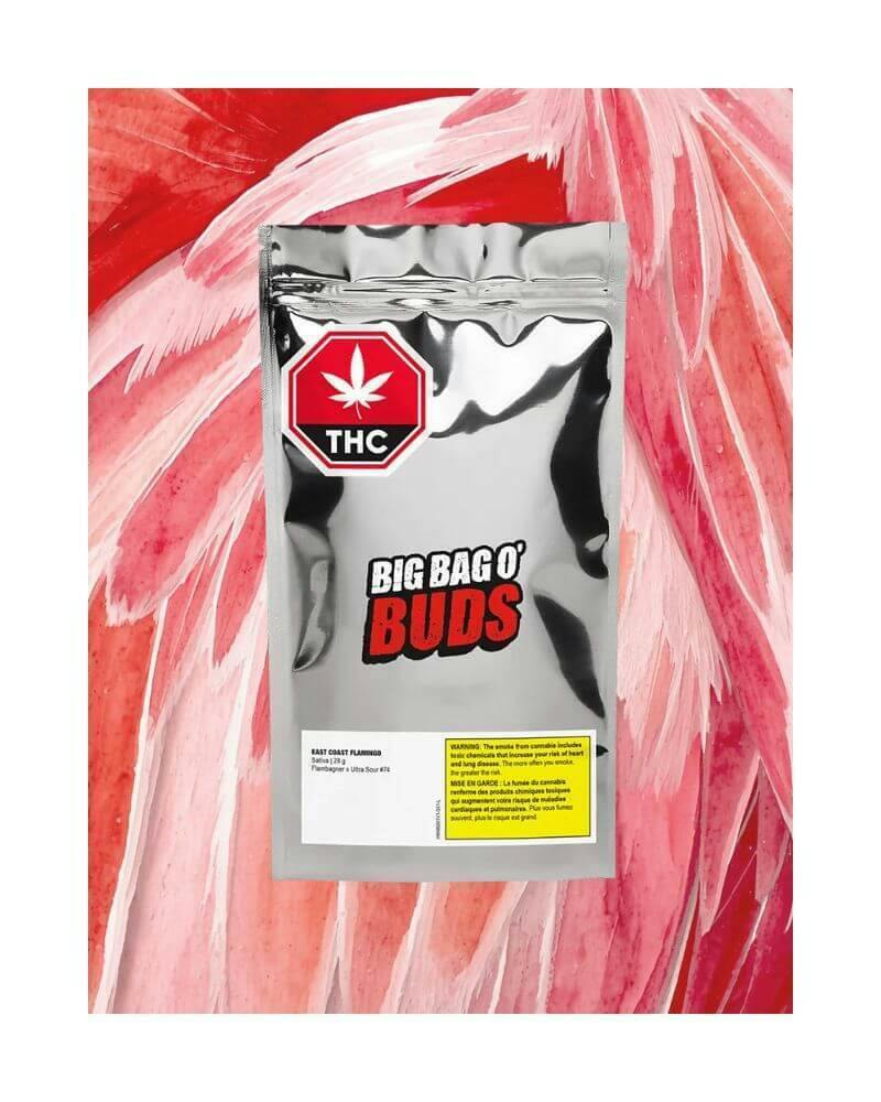 East Coast Flamingo | 28g