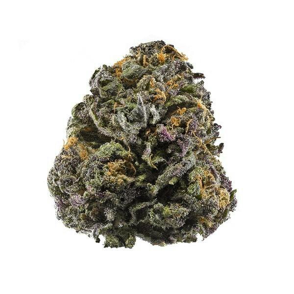 Campfire Cannabis | Bangkok Purple | 1/8oz Flower at Lake Leaf Cultivation