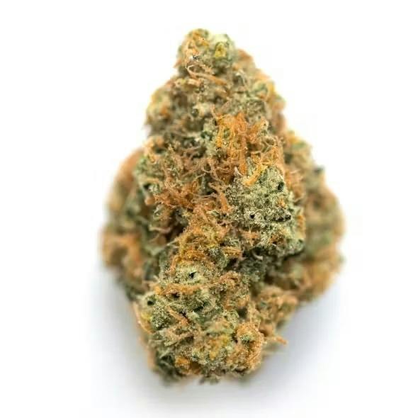 Campfire Cannabis | Orange Runtz | 1/8oz Flower at Lake Leaf Cultivation