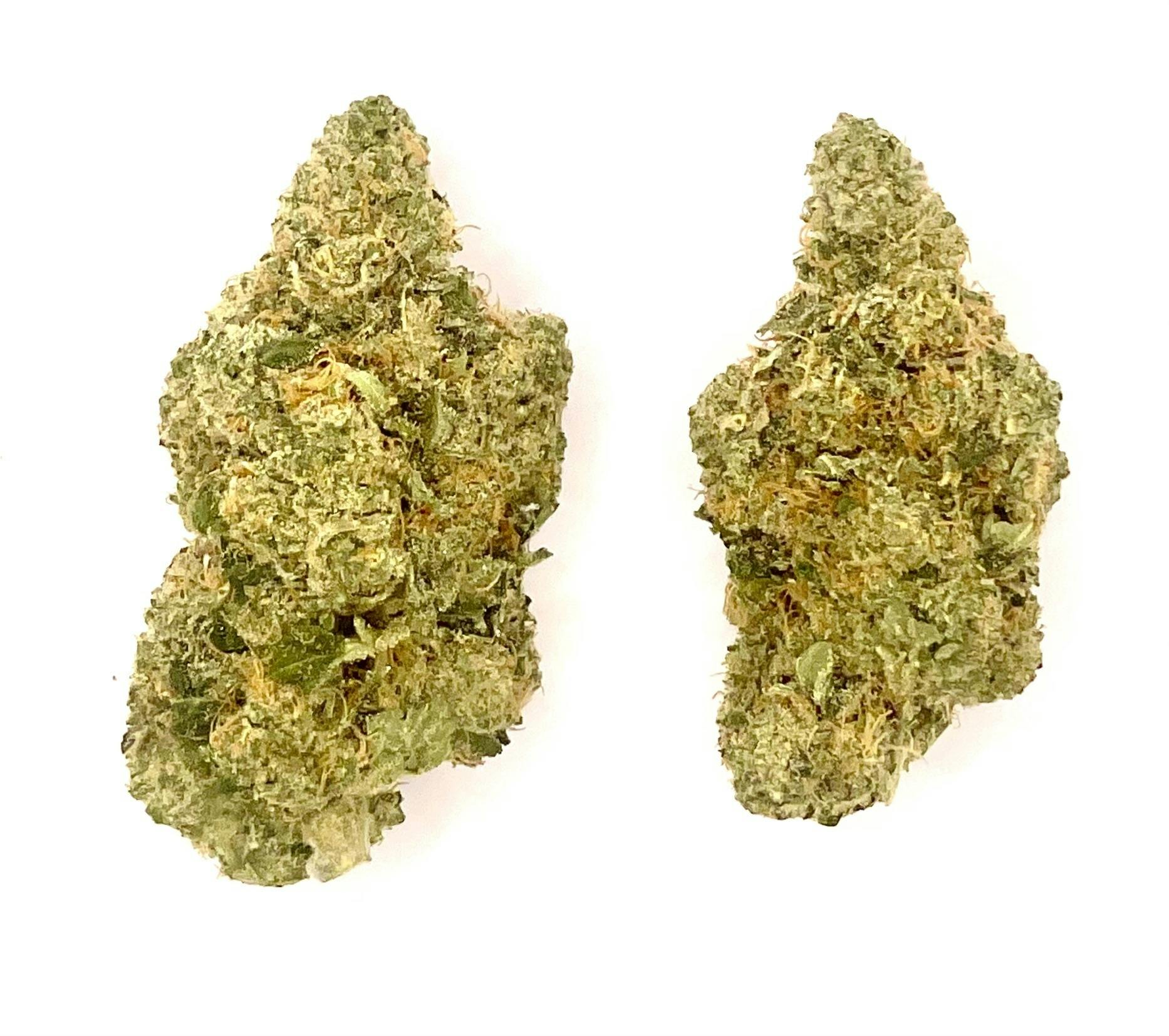 Buds | Tahiti Lime at Montana Kush - Gallatin Gateway Dispensary