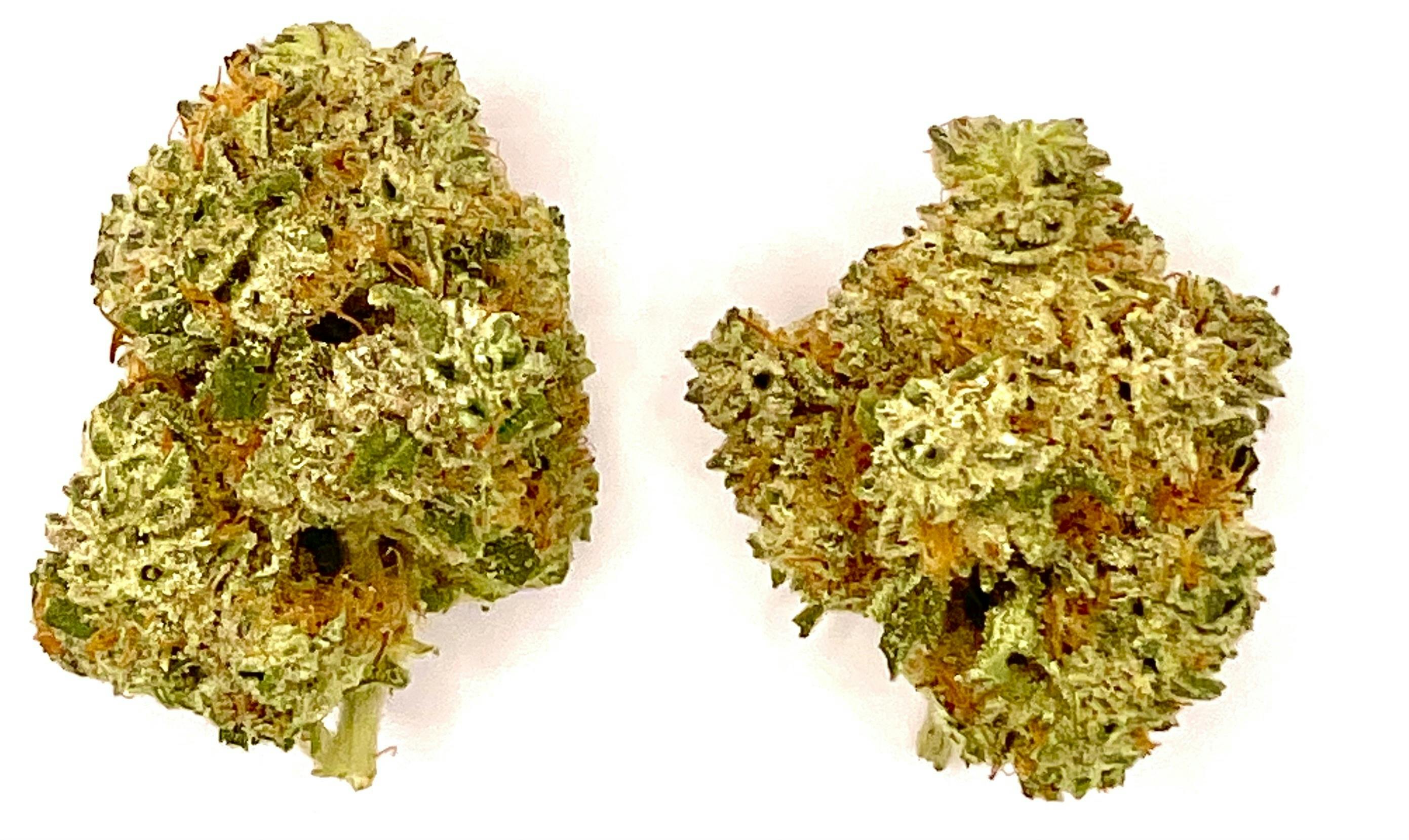 Buds | Durban Poison