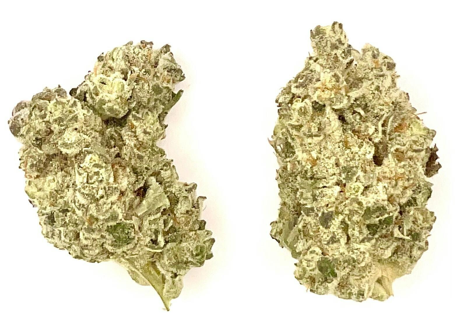 Buds | Cougar Candy