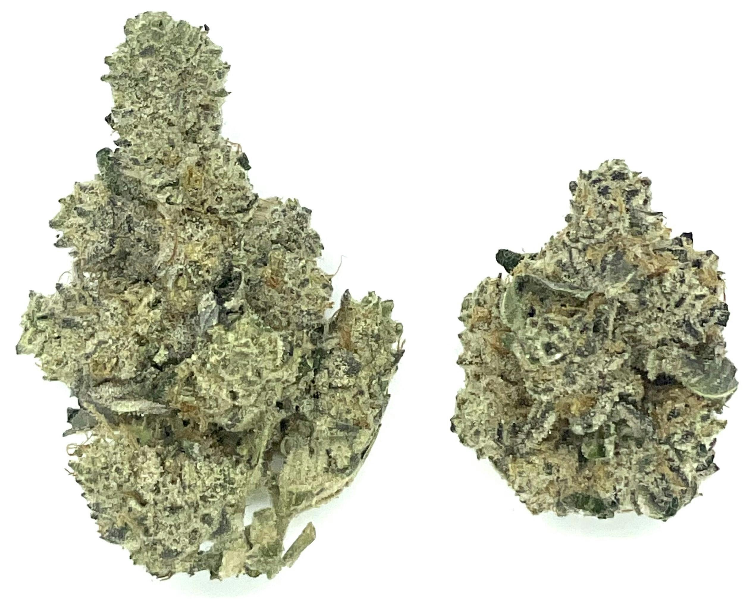 Buds | Carbon Fiber at Montana Kush - Gallatin Gateway Dispensary