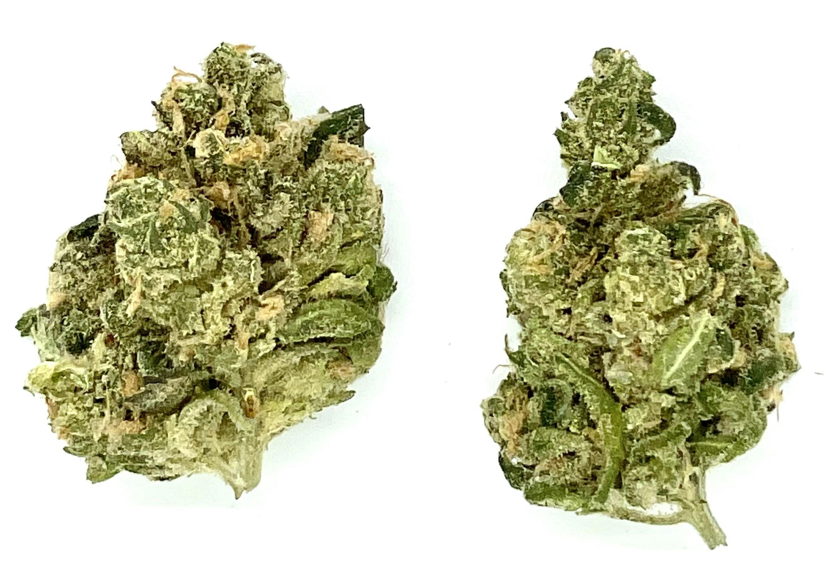 Buds | Blue Dream