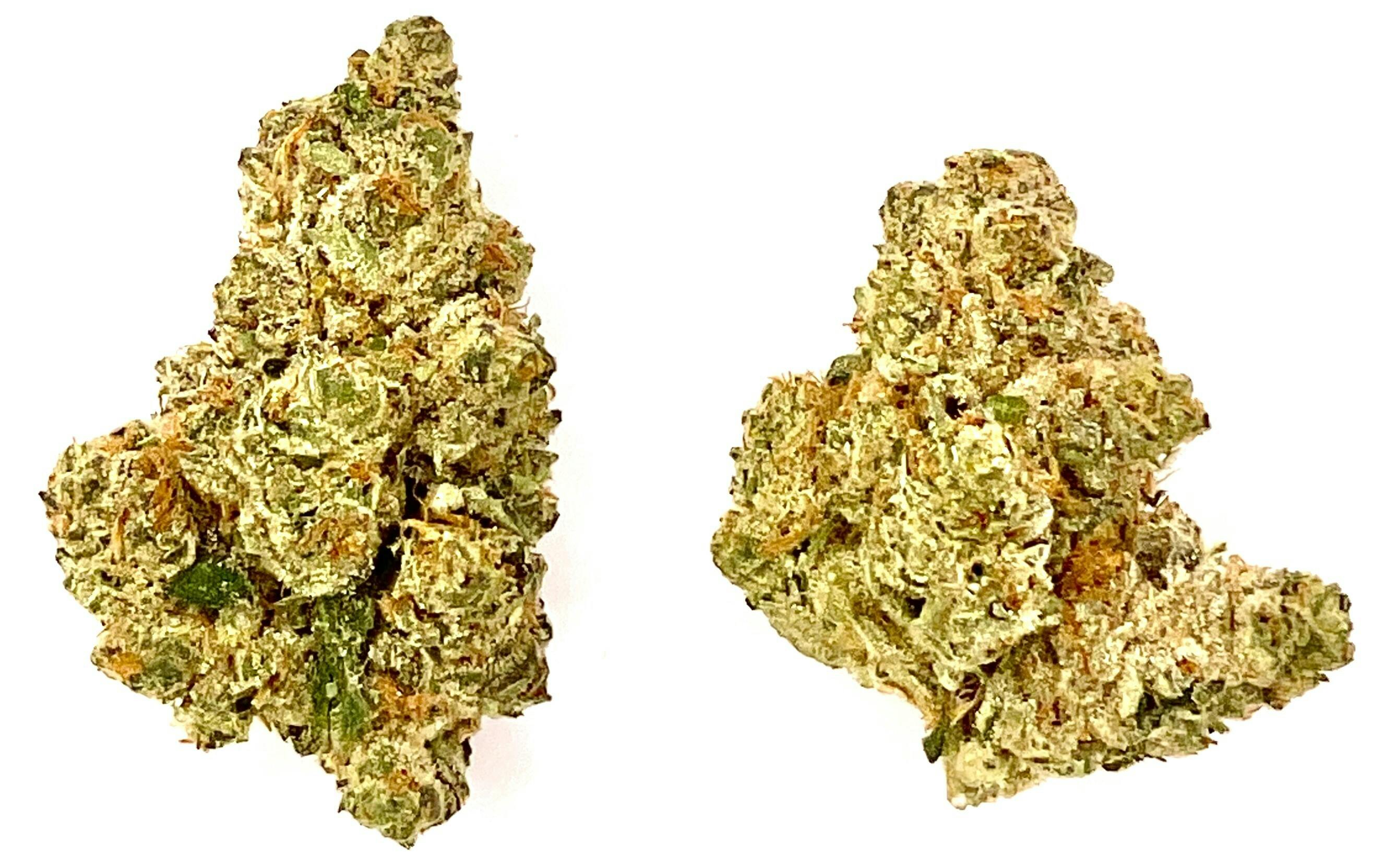 Buds | Terp Daddy at Montana Kush - Gallatin Gateway Dispensary