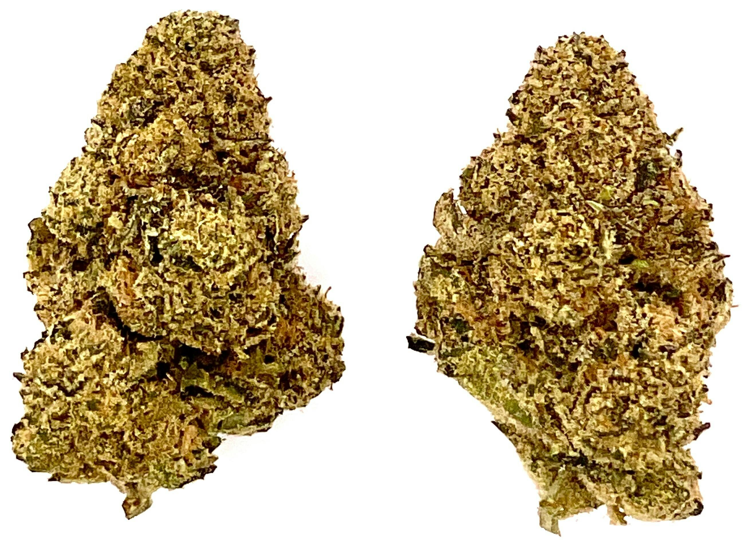 Buds | Stay Puft at Montana Kush - Gallatin Gateway Dispensary