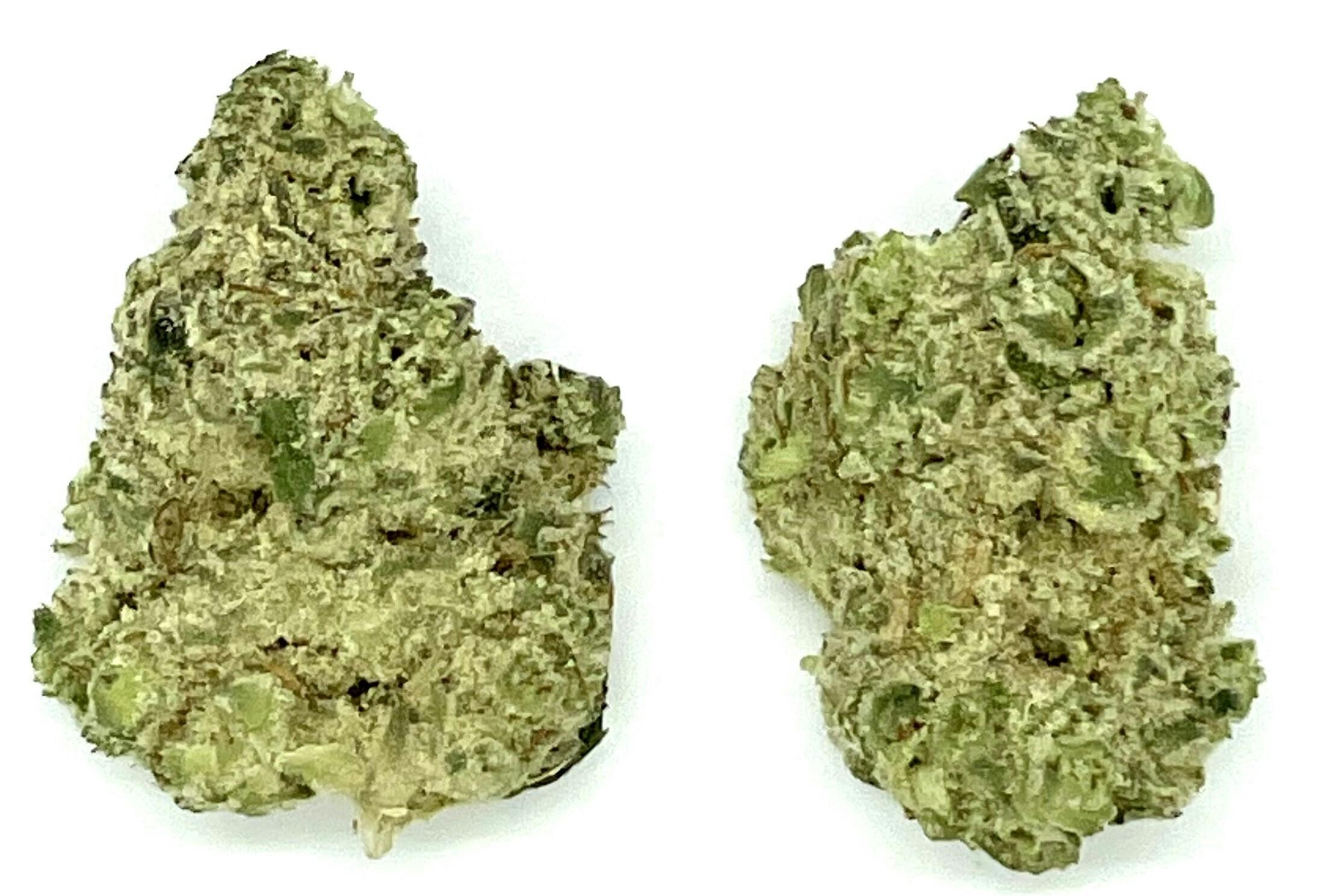 Buds | Paradise Sunset