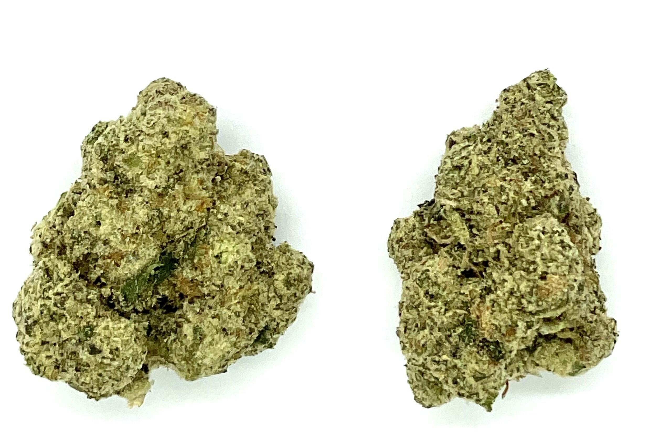 Buds | GMO