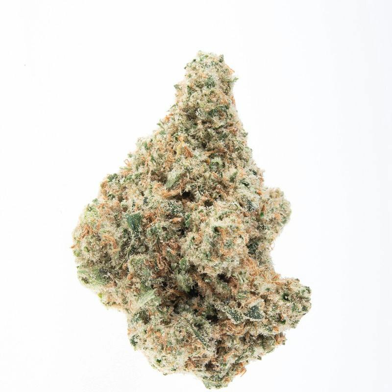 Buds | Apricot Scone at Montana Kush - Butte Dispensary