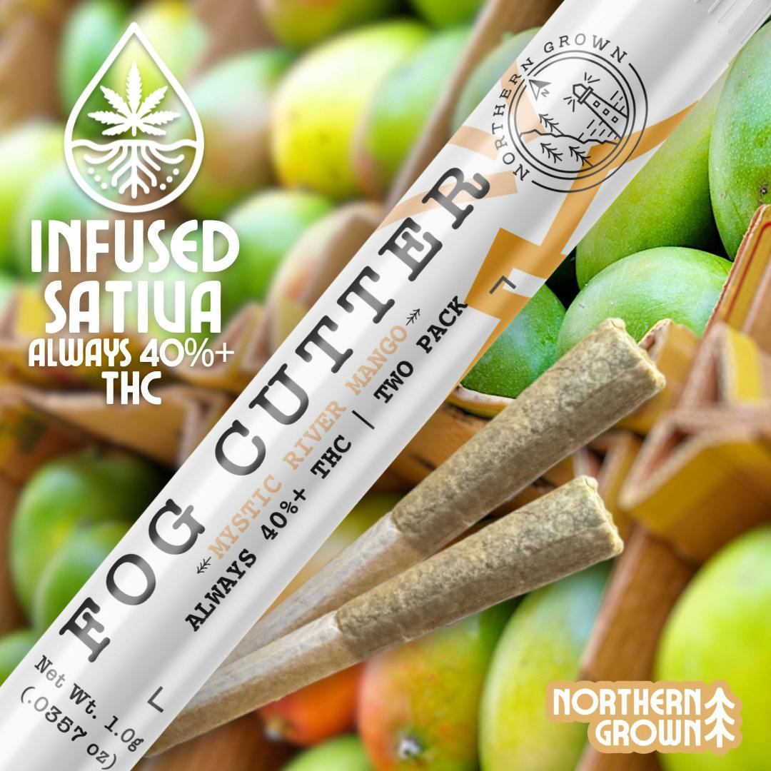 Mystic Mango #2 (HS) | 2pk=1g | 0.5g Infused Pre Rolls | Fog Cutters at Bleaf Wellness Centre