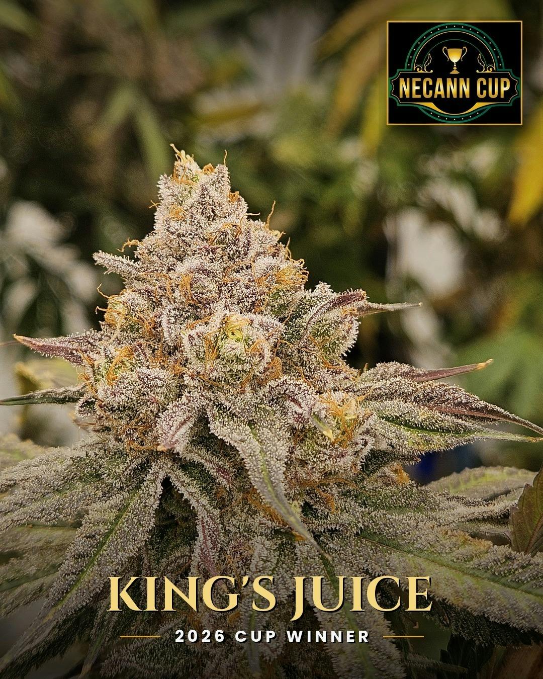 King's Juice