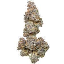 Permanent Chimera (HI) | 14g | Buds | In House