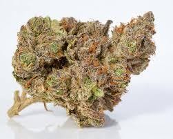 Star D (H) | 3.5g | Buds | In House at Bleaf Wellness Centre
