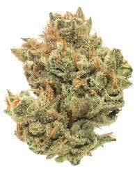 Super Lemon Haze (HS) | 3.5g | Buds | In House at Bleaf Wellness Centre