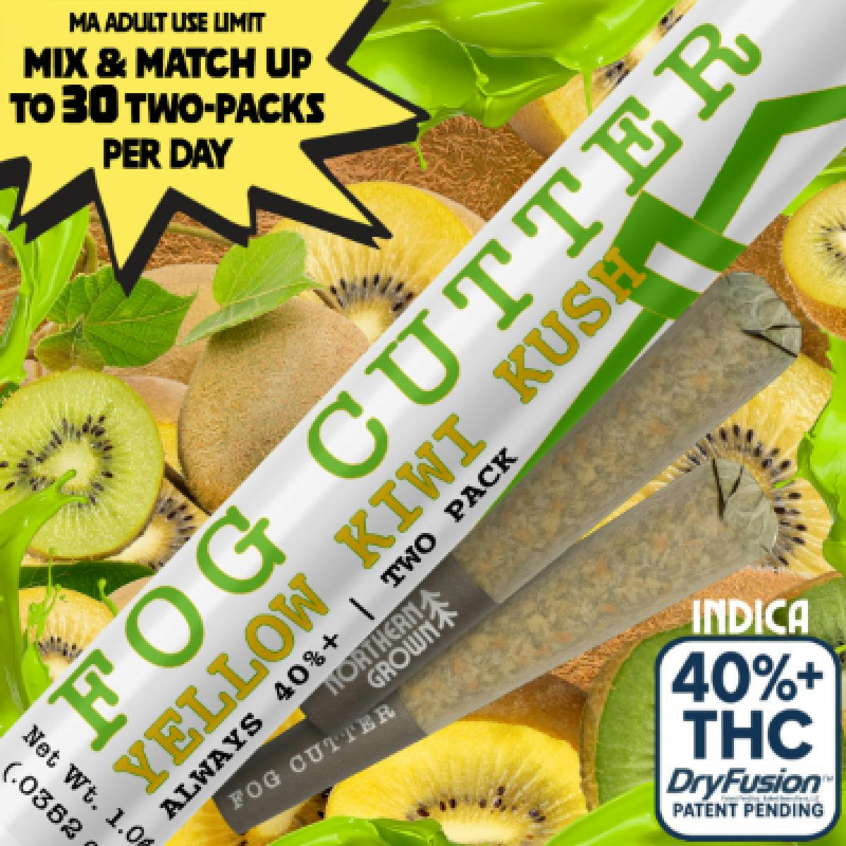 Yellow Kiwi Kush (HI) | 2pk=1g | 0.5g Infused Pre Rolls | Fog Cutters at Bleaf Wellness Centre