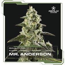Mr Anderson (I) | 28g | Buds | Realm