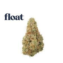 Top Gear (HI) | 3.5g | BUDS | In House