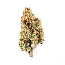 Trap House | Blue Moon | Deli-Style Flower