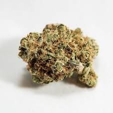 M&M | Snowball 5 | Deli-Style Flower