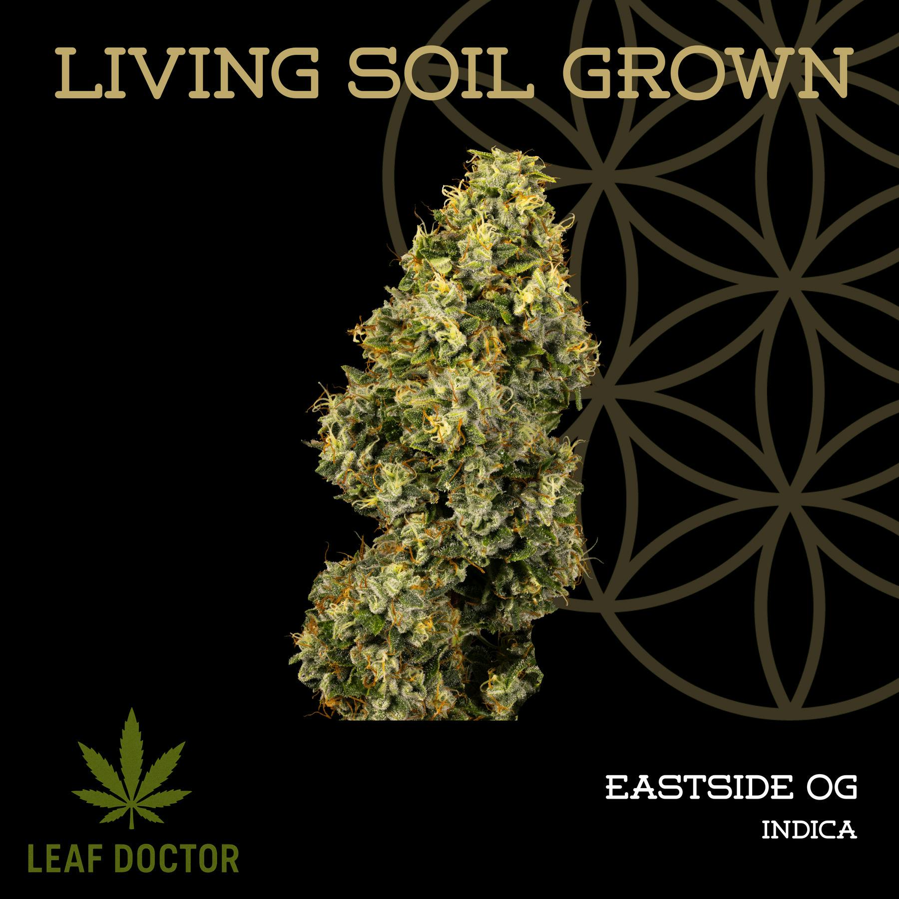 Flower Of Life | Eastside OG | Deli-Style Flower