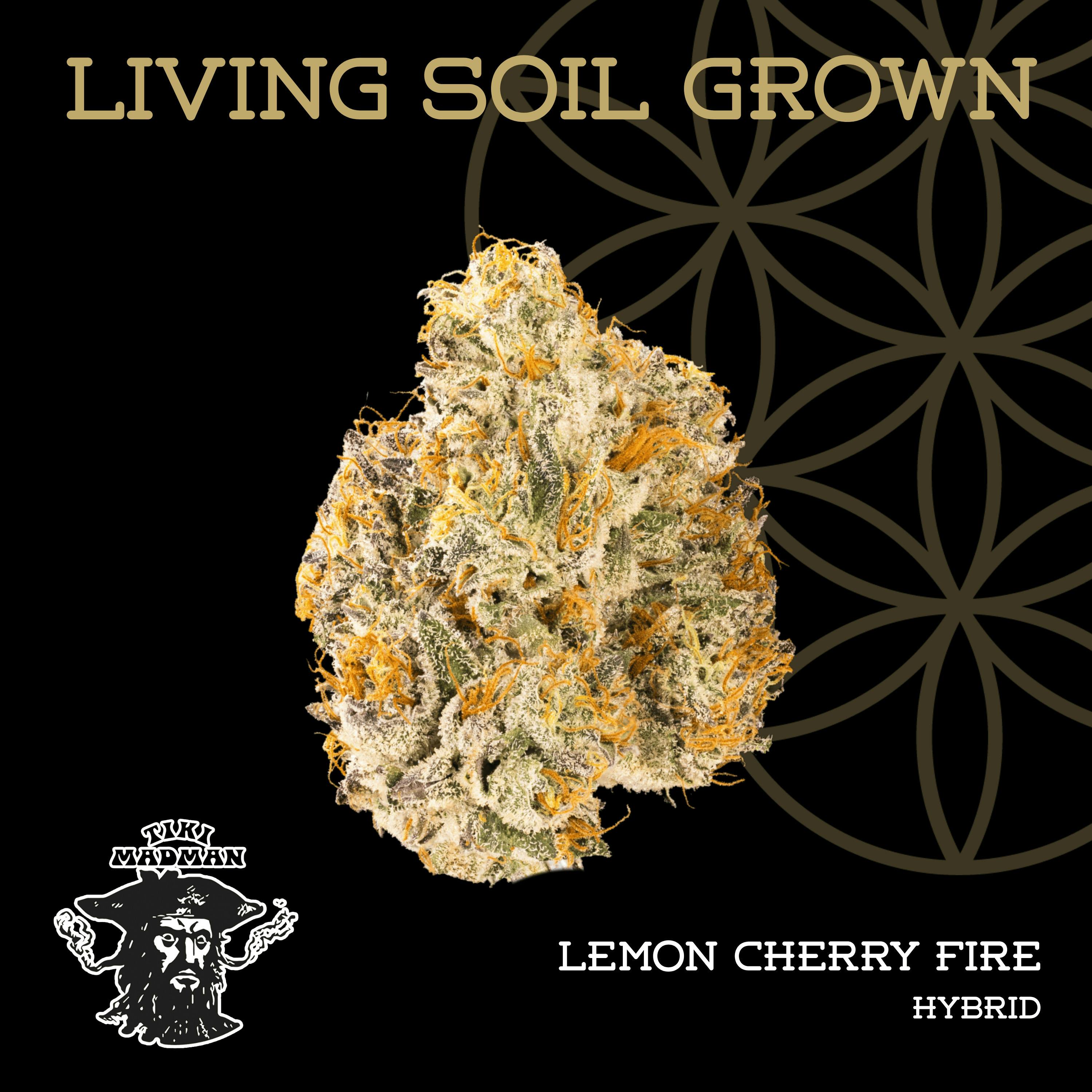 Flower Of Life | Lemon Cherry Fire | Deli-Style Flower