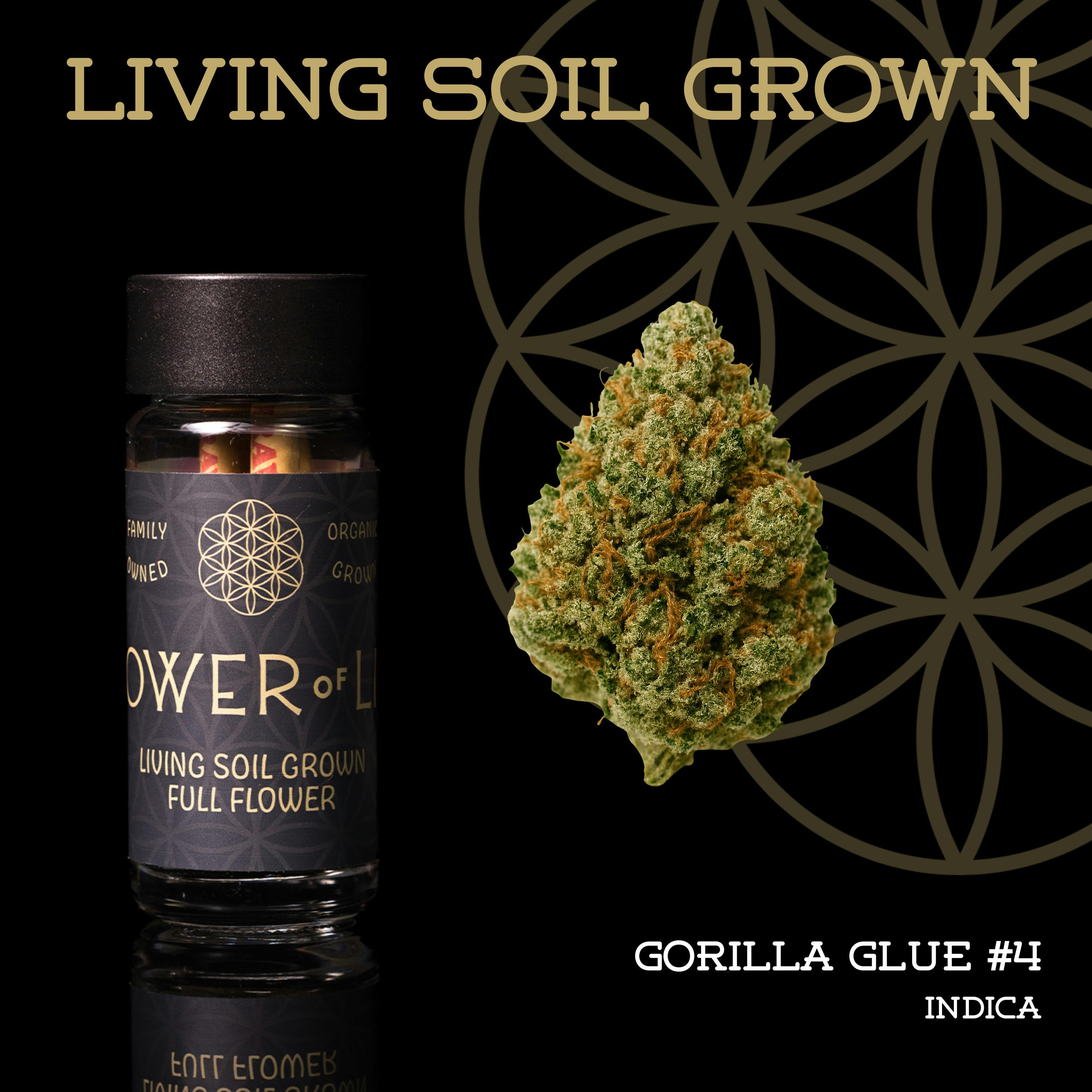 Flower Of Life | GG4 | Deli-Style Flower