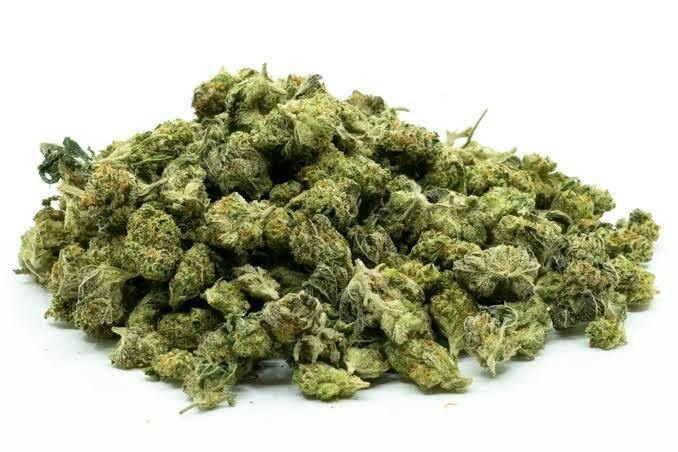 Team 517 | Reserve OG | 28G Smalls
