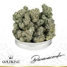 Goldkine | Bananaconda | Deli-Style Flower