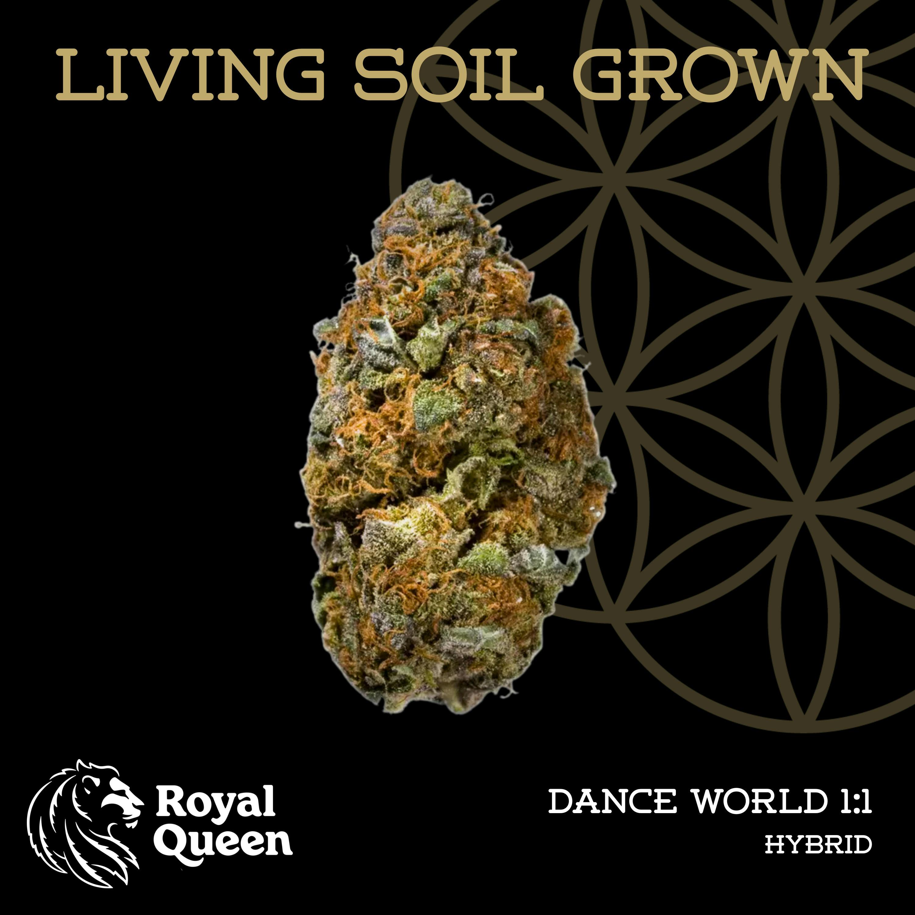 Flower Of Life | Dance World | 3.5G CBD/THC Flower